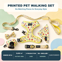 Ensemble de promenade pour animaux de compagnie imprimé et mignon avec harnais pour chien et chat à enfiler, laisse, collier réglable, bandana, nœud papillon et accessoires personnalisables avec logo