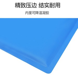 <b>Pet</b> <b>Cooling</b> <b>Mat</b> Rectangle Ice Crystals Reusable Heatstroke Prevention Dog Cat Summer Sleeping Pad - Product Image 4