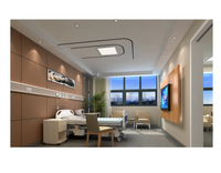 Jumlah Besar Rumah Sakit Bed Head Unit Harga Pabrik Kustom