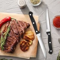 Ensemble de 4 couteaux à steak modernes en acier inoxydable de qualité professionnelle, réglables, avec poignées en plastique écologiques