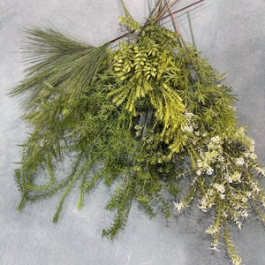 KW-F041 Plantas de Vegetación Forestal, Hierba Dorada de Mil Capas, Decoración de Paisajismo, Salieira Colgante - Product Image 4