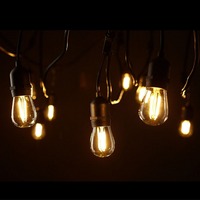 Guirlandes lumineuses Edison S14 pour l'extérieur, étanches, pour la décoration de mariage, de fête ou de lieu événementiel