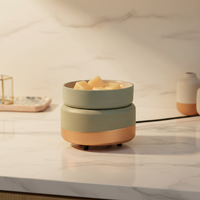 Lampe chauffe-bougie électrique 2-en-1 en céramique, brûleur de cire fondue pour la maison, diffuseur d'huiles parfumées, cadeau d'aromathérapie