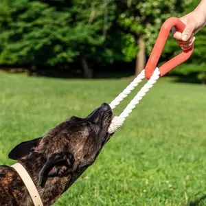 Fabrikanten Eco-Vriendelijke Super Kauweraccessoires Voor Huisdieren Touw Groot Ras Haute Wild Één Hond Driehoek Sleepspeelgoed