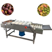 Industriële machine voor het verwijderen van dornen van cactusvijgen, apparatuur voor het ontdoornen en reinigen van cactusvijgen voor voedselverwerking
