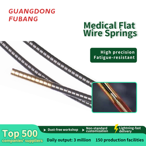 Maßgefertigte Medizinische Flachdrahtfedern Medizinische Qualität Hochpräzise Flachdrahtfeder - Product Image 2