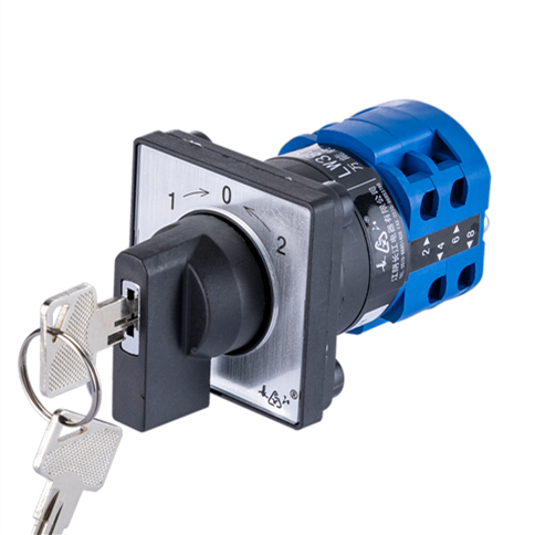 Hot Sale LW38 Series Manual Changeover Rotary Switch 10 Position Key Lock High Demand Product