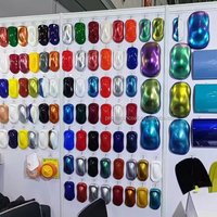 Revêtement liquide Promatch pour application par pulvérisation sur automobile/véhicule et plastique - Échantillon de peinture pour meubles, présentoir de moulures pour exposition