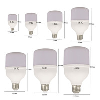 Ampoule LED e27 pour éclairage d'intérieur, source de lumière domestique, économie d'énergie, lampe d'urgence et rechargeable, série T