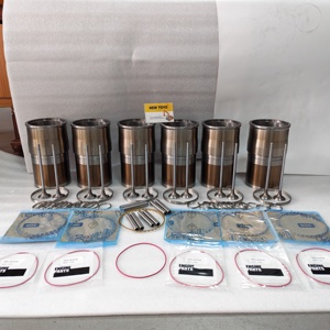 ชุดซับสูบใหม่ X15 QSX15 <span class=keywords><strong>IX15</strong></span> หมายเลข 5472970 4376168 5468972 3690561 สำหรับอะไหล่เครื่องจักรก่อสร้าง ใหม่สำหรับ - Product Image 1