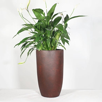 Jardinières & Pots de Fleurs Haut de Gamme Grande Taille Personnalisés Modernes TT pour Centre Commercial Sculptés à la Main