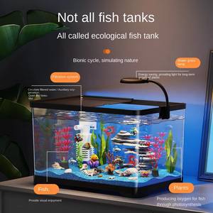 Fabriek Groothandel Ultra Wit Helder <span class=keywords><strong>Aquarium</strong></span> Desktop Kleine Betta <span class=keywords><strong>Aquarium</strong></span> Mini <span class=keywords><strong>Aquarium</strong></span> Met <span class=keywords><strong>Aquarium</strong></span> Pomp En Licht - Product Image 4