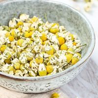 Harga Grosir Chamomile Kualitas Baik Panen Baru Harga Murah Bunga Kering