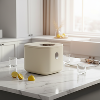 Mini-cuiseur à riz intelligent portable, cuve électrique avec séparation du sucre, boîtier en plastique multifonctionnel, pour 2-3 personnes
