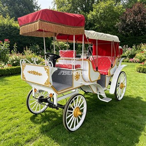 Carruaje Eléctrico de Lujo Estilo Europeo para Bodas, Turismo y Transporte de Turistas - Product Image 2