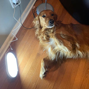 Lampu terapi siang hari suasana hati 10000 Lux bebas UV berkedip bebas sinar matahari untuk rumah efektif untuk perawatan depresi musiman musim dingin - Product Image 4