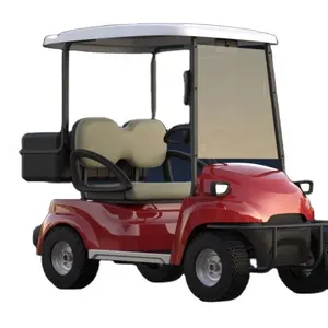 newest design high quality low price single and mini two seats golf cart popular for Europe