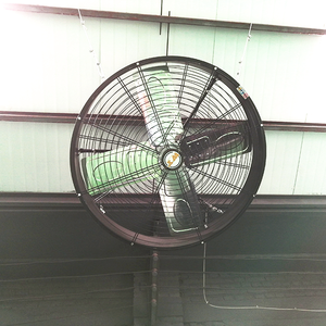 Ventilador <span class=keywords><strong>de</strong></span> refrigeración <span class=keywords><strong>de</strong></span> CC <span class=keywords><strong>de</strong></span> 1220mm/48 pulgadas, sin escobillas, alta velocidad, oscilante, montado en la <span class=keywords><strong>pared</strong></span> - Product Image 1