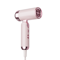 Sèche-cheveux professionnel personnalisé à grande vitesse, ionique, compact, pliable, BLDC 1000W, avec concentrateur, protection thermique, pour hôtel