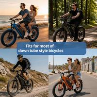 Batterie Hailong pour vélo électrique E-BIKE 24V 36V 48V 52V 10AH 13AH 15AH 20AH Pack de batteries pour vélo électrique