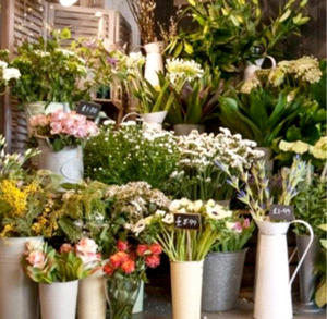 Expositor de exhibición de flores Refrigeradores refrigerados de China para flores Enfriadores profesionales para flores - Product Image 2