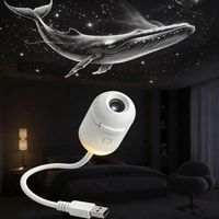 Projecteur LED portable ultra-clair à branchement USB, mini projecteur de nuit romantique pour chambre à coucher, lumière de nuit galaxie étoile aurore, contrôle tactile, moderne, OEM ODM