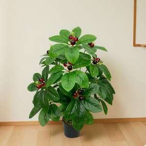 Árbol de Dinero Artificial, Árbol Falso, Flor Artificial, Decoración para Sala de Estar, Planta Verde, PVC Suave para Piso, 30-100 cm - Product Image 2