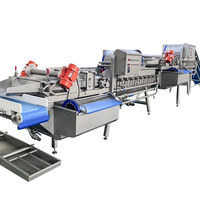 Hoog rendement volautomatische machine voor het in blokjes snijden van groenten en fruit, vortex-was- en reinigingsmachine met 304 roestvrijstalen motor