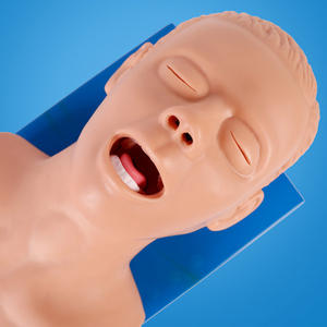 Modelo Anatómico de PVC ADA BIX-J5S, Dispositivo Electrónico de Alarma de Compresión Dental para Intubación de Vías Respiratorias, Ayuda para la Formación de Enfermeras, Ciencias Médicas - Product Image 5