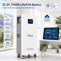Baterai Penyimpanan Tenaga Surya Off Grid 16kWh 51.2V 314Ah, Pemantauan Cloud WiFi, BMS Pintar, 6000+ Siklus, Baterai Rumah Mobil, Gudang EU