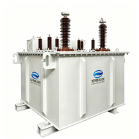 Transformador de excitación sumergido en aceite para pruebas eléctricas, unidad elevadora dedicada, voltaje ajustable, alta precisión, IP55, 1 año de garantía