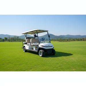 Voiturette de golf électrique Wuling personnalisée, écologique, 6 places, certifiée CE, moteur 48V 4kW, chariot de <span class=keywords><strong>club</strong></span> élévateur, buggy à moteur AC, vente chaude - Product Image 1