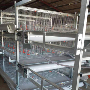 Ampio Pollaio Automatico a Forma di H per Allevamento di Polli da Carne - Dotato di Sistema di Alimentazione e Abbeveraggio - Product Image 1