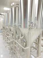 Équipement de brassage de bière artisanale commercial de 300 l, mini-brasserie à vendre