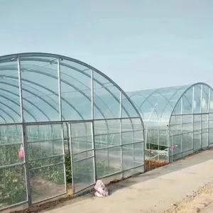 Invernadero de tomate de gran tamaño, película de plástico multicolor para arco