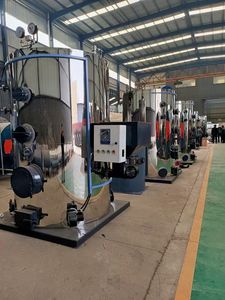 중페이 100kg 200kg 300kg 500kg 산업용 소형 바이오매스 보일러 공장 고품질 증기 발생기 - Product Image 3