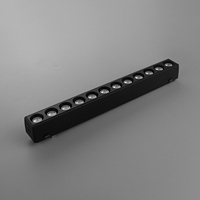 Rail mince ultra mince aimant intelligent piste linéaire Spot Light Dimmable 48v plafond monté en surface LED système magnétique feux de piste