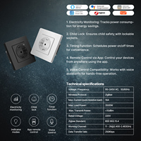 Prise intelligente EU Zigbee Norme européenne Hot New Wall Socket 100-240V Voice Control App Scheduling Child Lock Safety Mode