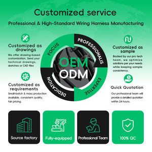 Gran oferta, precio barato de alta calidad, arnés de cableado de coche EV, 2 pines, 35mm, 1500V, cables de alimentación CA/CC con conector AMP y alto rendimiento - Product Image 5