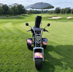 2026 Tricycle Électrique de Golf 3 Roues 2000W 3000W 60V pour un Plaisir Absolu, Scooter de Golf, Trottinette, Vélo Électrique, Citycoco - Product Image 3