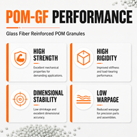 Granulés de POM Acétal Renforcé Taiyi POM GF20, Polyoxyméthylène de Qualité Injection, Plastique Technique pour l'Automobile et la Mécanique