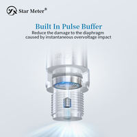 CYYZ09 Star-meter High Precision Stainless Steel Professional Pressure Sensors Multifunction Durable Easy Operation IP65