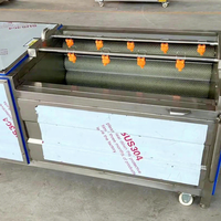 Multifunctionele wortelgroente- en fruitborstelreinigingsmachine voor groenteverwerkingslijnen