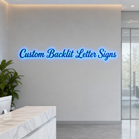 Lettres lumineuses personnalisées à halo bleu pour la réception de bureau et la signalétique murale des entreprises – Fournisseur