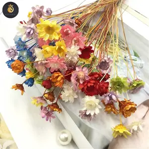 M076 trang trí nội thất hoa Nguồn cung cấp Hoa Khô thực sự khô tự nhiên Mini daisy hoa ngôi sao nhỏ hoa khô cho mỹ phẩm DIY son môi