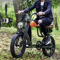 लंबे समय से बड़े फोम साइकिल काठी इलेक्ट्रिक वसा टायर बाइक सीट पीछे की सीट के साथ 73 इलेक्ट्रिक बाइक