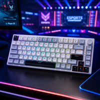 Nouveau modèle Clavier de jeu filaire Type-C 81 touches Rétroéclairage LED arc-en-ciel Touches de couleur assortie avec bouton de volume Clavier ergonomique