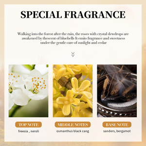 <span class=keywords><strong>Crema</strong></span> antirughe al collagene SADOER Private Label <span class=keywords><strong>crema</strong></span> per le <span class=keywords><strong>mani</strong></span> idratante e ringiovanente autunno e inverno Anti-secco incrinato per le <span class=keywords><strong>mani</strong></span> - Product Image 6