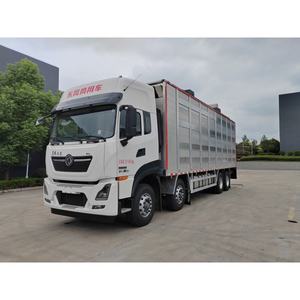 Nuevo Camión Pesado DFAC 2026 para Ganado, 6x4, Diésel Euro 3, Caja <span class=keywords><strong>de</strong></span> Cambios Rápida, 150-250HP, Cabina Simple, Alta Calidad, Uso Comercial Premium - Product Image 3