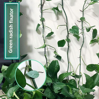 Support de plante bâton plantes grimpantes Clips plante de tomate crochets muraux décoratifs feuille Design support crochet maison